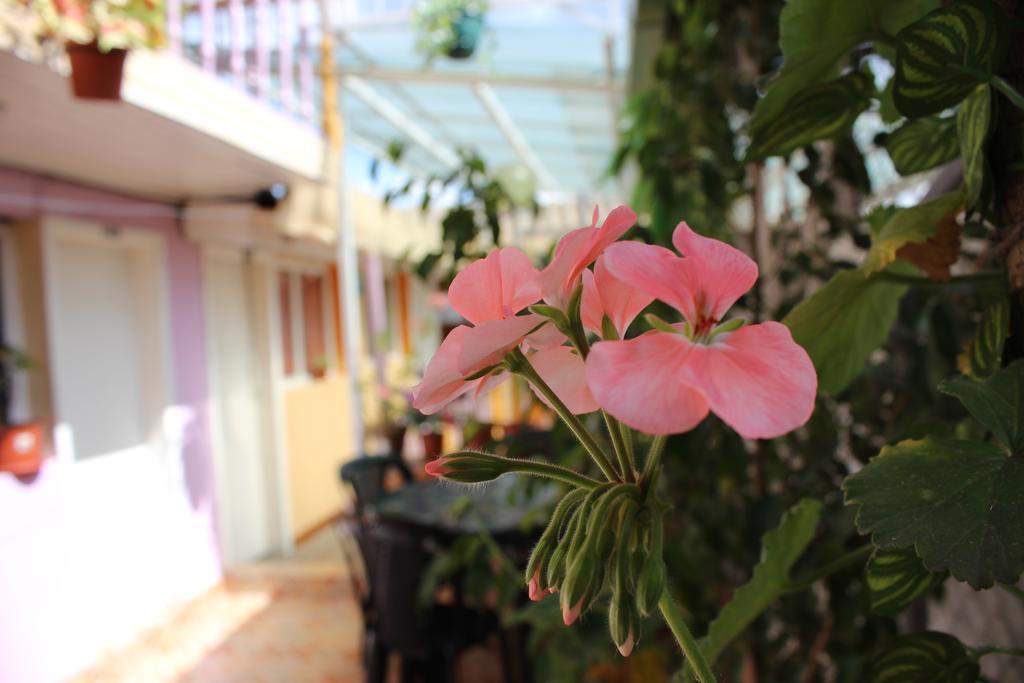 Hostal Yumbo Imperial Quito Dış mekan fotoğraf